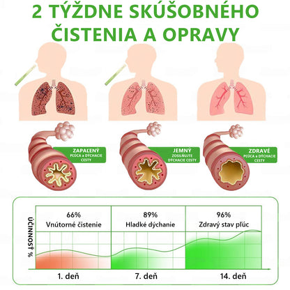 🇸🇰 Slovenské vlastníctvo a správa ✅ Murwon® bylinný difuzér na čistenie pľúc s divozelom (Mullein) 🫁 (kašeľ, faryngitída, dýchavičnosť, hlieny, upchatý nos, bronchitída, alergické príznaky, nepohodlie v pľúcach) 🌹